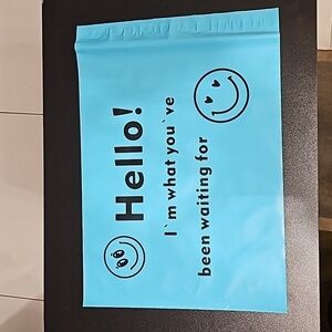 Ten 10x13 poly shipping bags
